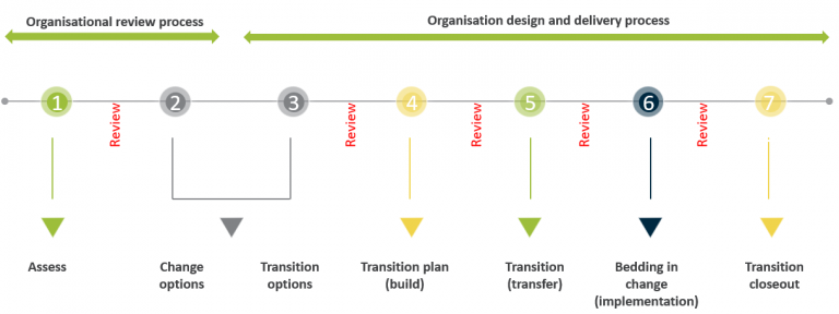 Org review diagram4